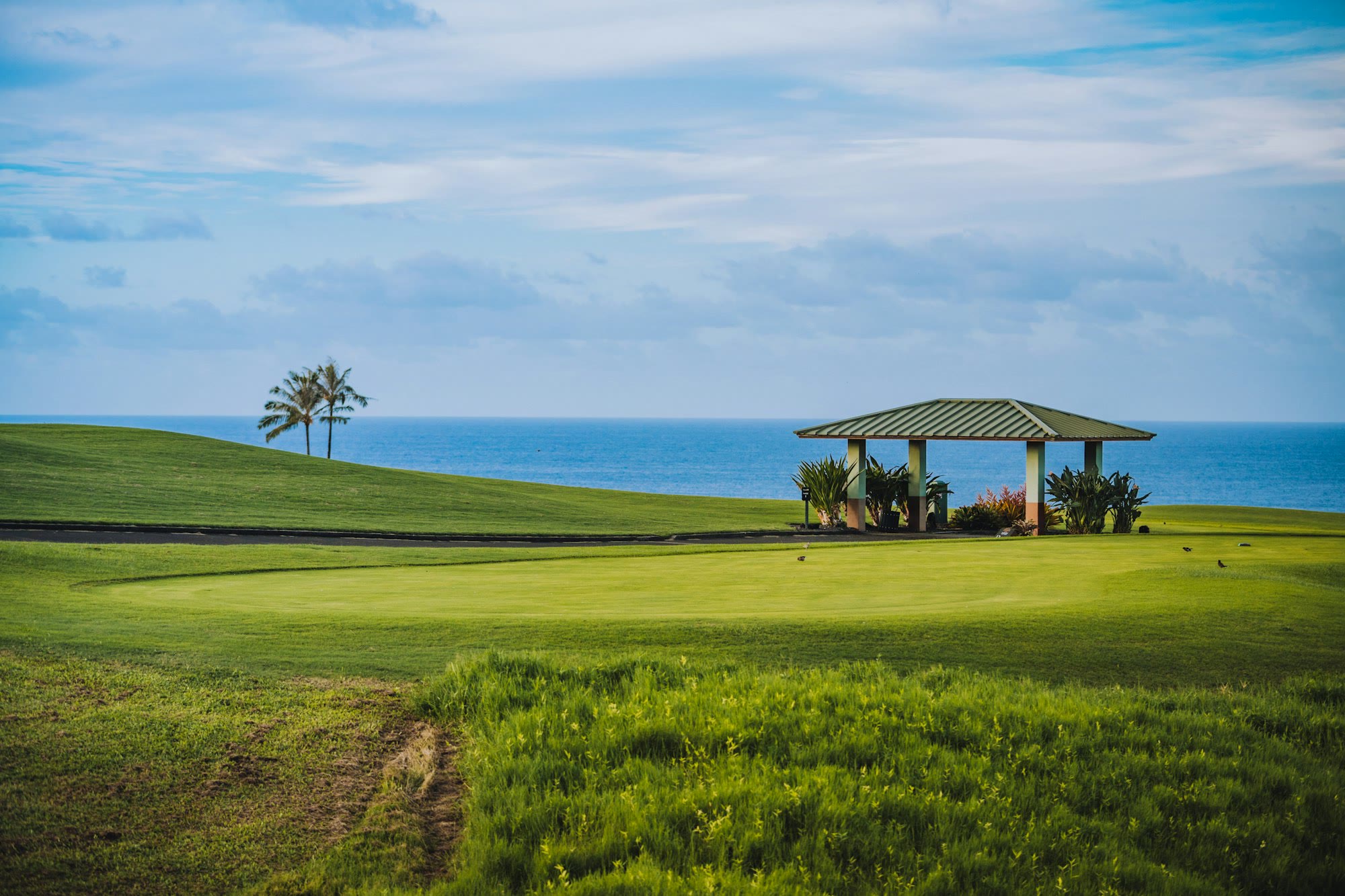 Hawaii ocean golf course
