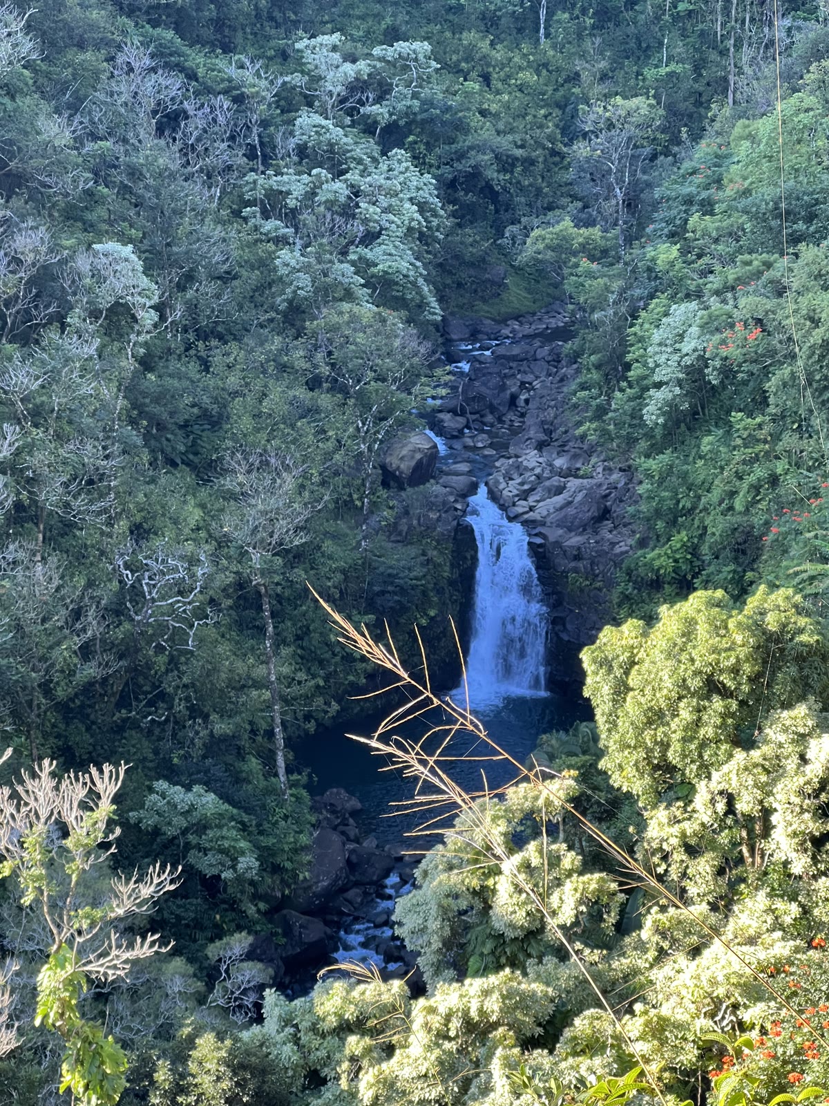 Road to Hana waterfall